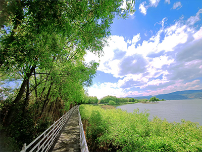 董事長介紹 董事長介紹